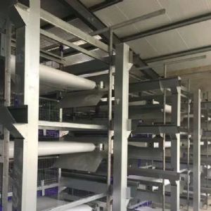 肉雞全自動(dòng)清糞機(jī)